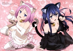 gokukoku_no_brynhildr_kazumi_neko.jpg