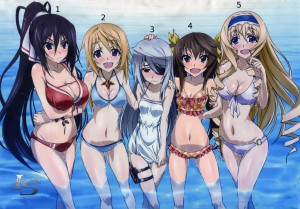 infinite_stratos_cast.jpg