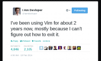 vim_developer.png